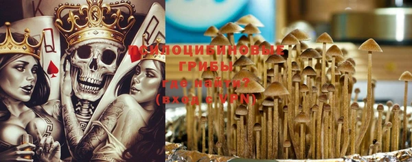 спайс Бородино