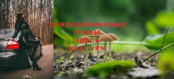 трава Бугульма