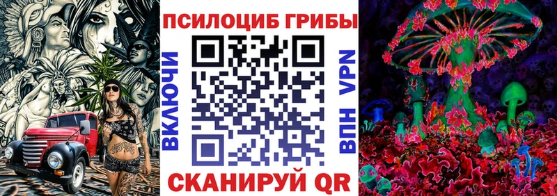 Купить  Чапаевск  Псилоцибиновые грибы Psilocybine cubensis 
